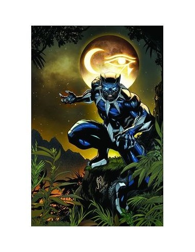 Ultimate Black Panther – Tome 1