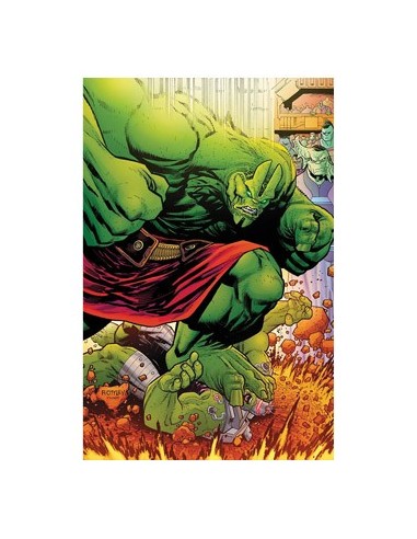 Hulk 10. (el Increible Hulk V.2 125) – Comic