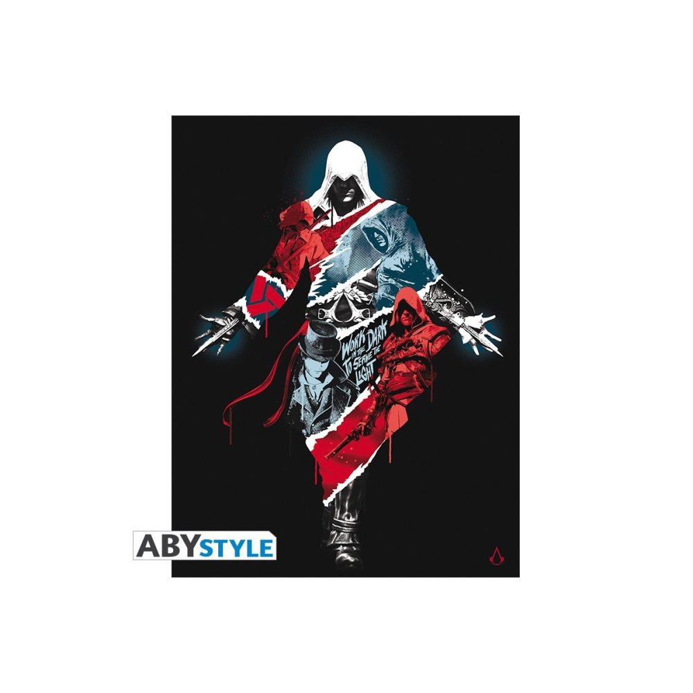 Toile Assassin's Creed Legacy 30 x 40 cm – Collection