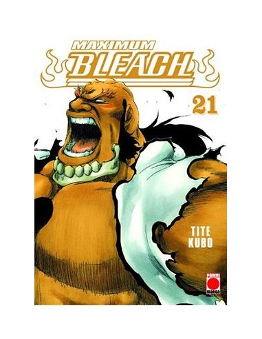 Bleach Maximum – Tome 21