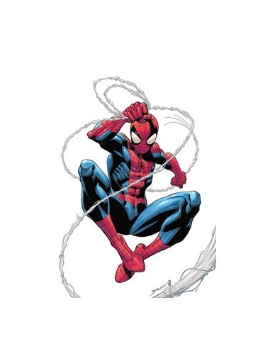 Spiderman – Volume 1