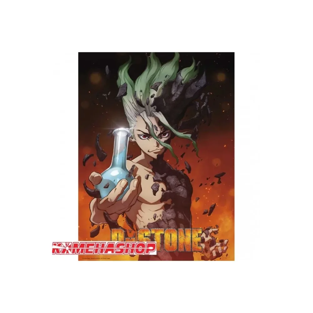 Dr Stone Senku – Poster
